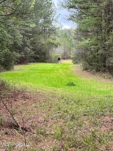 92 Acres Bogue Chitto, MS, Lincoln County - image 22