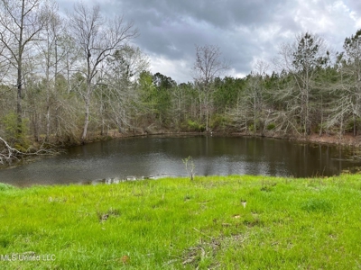 92 Acres Bogue Chitto, MS, Lincoln County - image 21