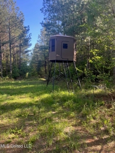92 Acres Bogue Chitto, MS, Lincoln County - image 13