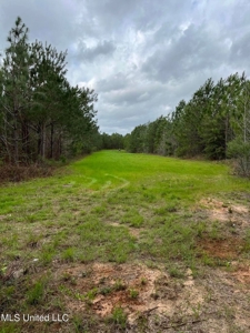 92 Acres Bogue Chitto, MS, Lincoln County - image 17