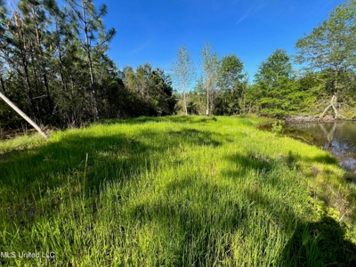 92 Acres Bogue Chitto, MS, Lincoln County - image 4