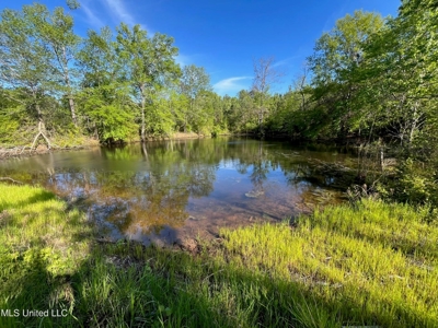 92 Acres Bogue Chitto, MS, Lincoln County - image 3