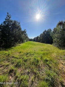 92 Acres Bogue Chitto, MS, Lincoln County - image 5