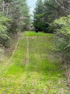 92 Acres Bogue Chitto, MS, Lincoln County - image 1