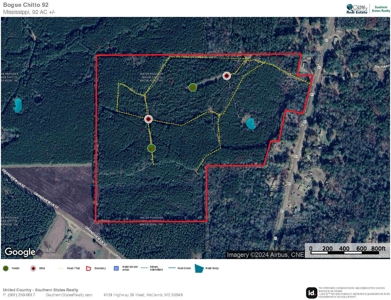 92 Acres Bogue Chitto, MS, Lincoln County - image 24