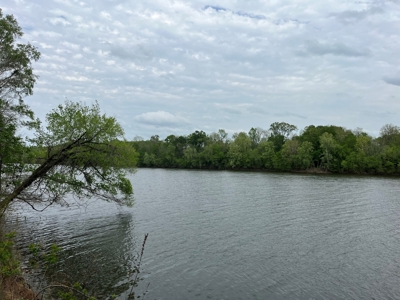 Waterfront Land For Sale In Dallas County, Alabama - image 3