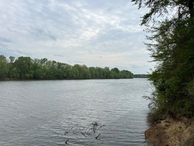Waterfront Land For Sale In Dallas County, Alabama - image 4