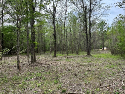 Waterfront Land For Sale In Dallas County, Alabama - image 1