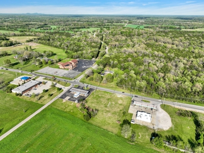 Commercial Land for Sale in Chapel Hill, Tennessee - image 11