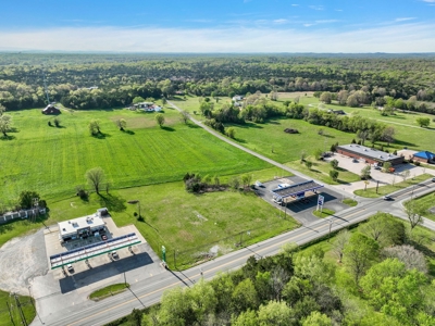 Commercial Land for Sale in Chapel Hill, Tennessee - image 5