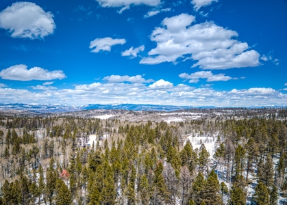 This Custom Cabin Epitomizes Mountain Living At It's Finest - image 37