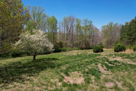 Fixer-Upper Located In Patrick County, Va - image 6