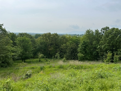 FARM/RANCH Homestead FOR SALE - image 4