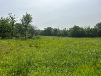 FARM/RANCH Homestead FOR SALE - image 12