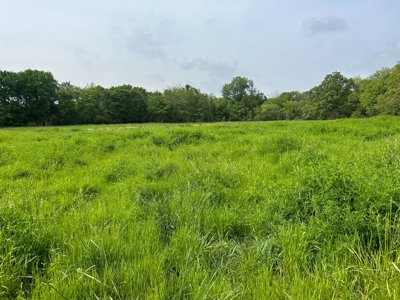 FARM/RANCH Homestead FOR SALE - image 10