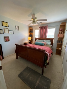 FARM/RANCH Homestead FOR SALE - image 17