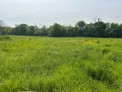 FARM/RANCH Homestead FOR SALE - image 11