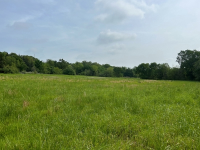 FARM/RANCH Homestead FOR SALE - image 13