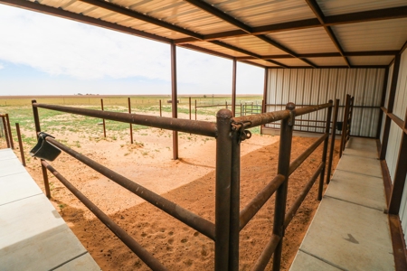 Country Home in New Home ISD with room for livestock - image 3