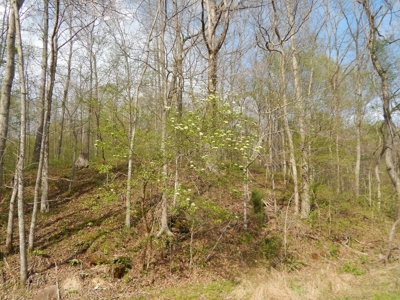 Tn Country Home on 7.34 Acres with Creek Frontage! - image 44