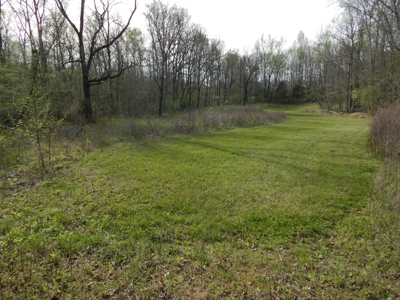Tn Country Home on 7.34 Acres with Creek Frontage! - image 41