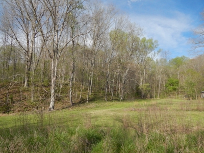 Tn Country Home on 7.34 Acres with Creek Frontage! - image 50