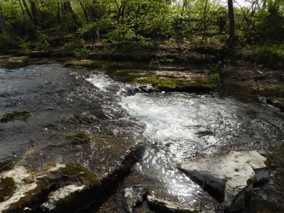 Tn Country Home on 7.34 Acres with Creek Frontage! - image 1