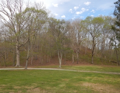 Tn Country Home on 7.34 Acres with Creek Frontage! - image 30