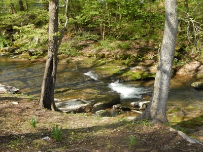 Tn Country Home on 7.34 Acres with Creek Frontage! - image 37