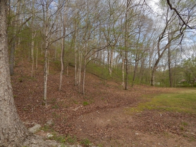 Tn Country Home on 7.34 Acres with Creek Frontage! - image 29