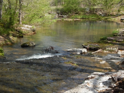 Tn Country Home on 7.34 Acres with Creek Frontage! - image 39