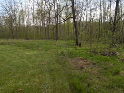 Tn Country Home on 7.34 Acres with Creek Frontage! - image 47