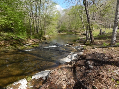 Tn Country Home on 7.34 Acres with Creek Frontage! - image 38