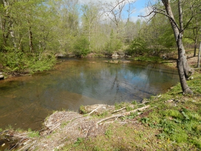 Tn Country Home on 7.34 Acres with Creek Frontage! - image 2
