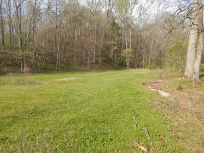 Tn Country Home on 7.34 Acres with Creek Frontage! - image 42
