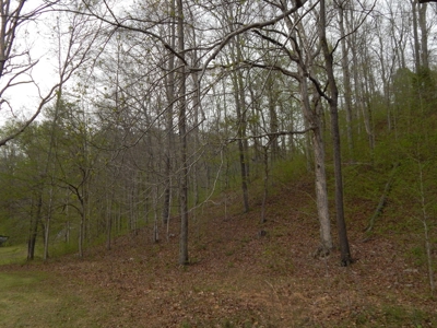 Tn Country Home on 7.34 Acres with Creek Frontage! - image 34
