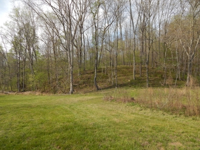 Tn Country Home on 7.34 Acres with Creek Frontage! - image 43