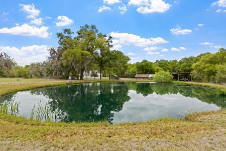 Country home for sale in HIGH SPRINGS, FL - image 6