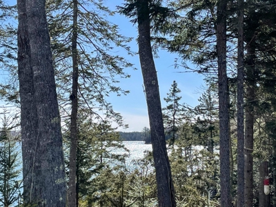 Maine Oceanfront Property - image 5