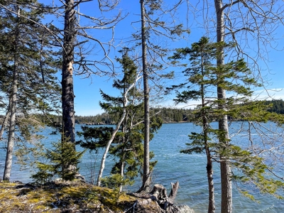 Maine Oceanfront Property - image 2