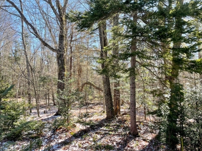 Maine Oceanfront Property - image 6