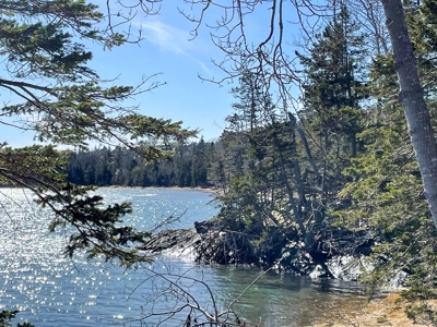 Maine Oceanfront Property - image 3