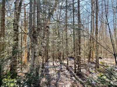 Maine Oceanfront Property - image 7