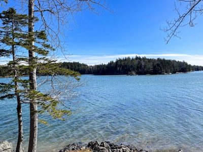 Maine Oceanfront Property - image 1