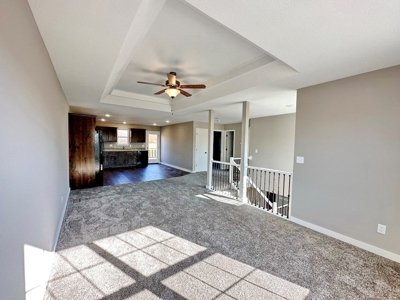 New Construction Home for Sale in Stockton MO - image 7
