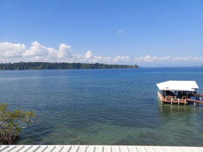 Luxury Condos on Juan Brown Point, Bocas del Toro, Panama - image 17