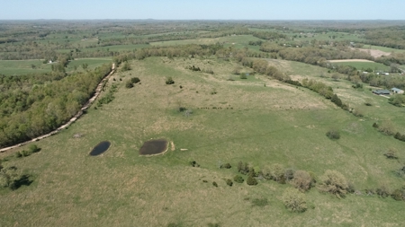75 Acres of Fenced Pasture w/ 3 Ponds Minutes from 2 Rivers - image 6
