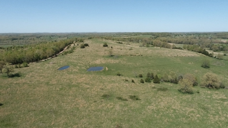 75 Acres of Fenced Pasture w/ 3 Ponds Minutes from 2 Rivers - image 2