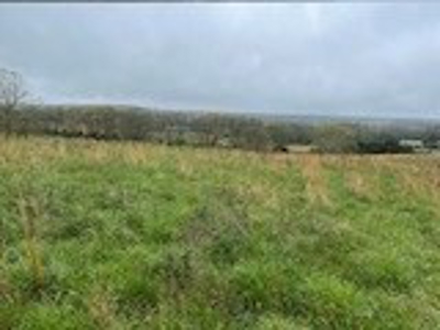 75 Acres of Fenced Pasture w/ 3 Ponds Minutes from 2 Rivers - image 10