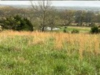 75 Acres of Fenced Pasture w/ 3 Ponds Minutes from 2 Rivers - image 9